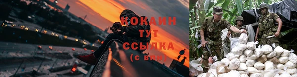 мескалин Дмитриев