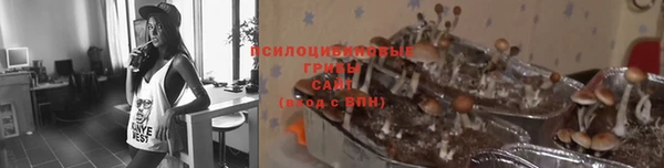 мескалин Дмитриев