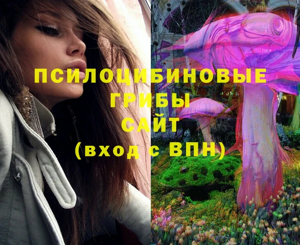 мяу мяу мука Гусь-Хрустальный