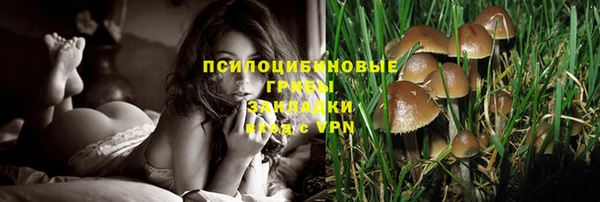 мескалин Дмитриев