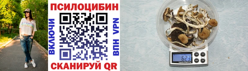 MEGA зеркало  Дедовск  Псилоцибиновые грибы Psilocybine cubensis  продажа наркотиков 